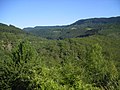 Miniatura para Bosque de frondosas de Europa occidental