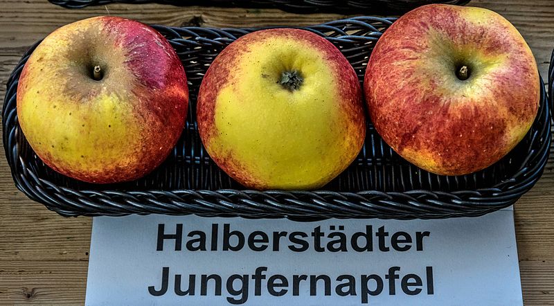 File:Halberstädter Jungfernapfel jm55250.jpg