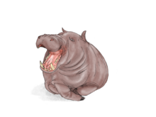 Hexaprotodon Sivalensis.png