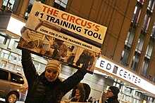 Lindsey Pearlman leads a protest of the Ringling Bros. and Barnum & Bailey Circus in Chicago in 2013