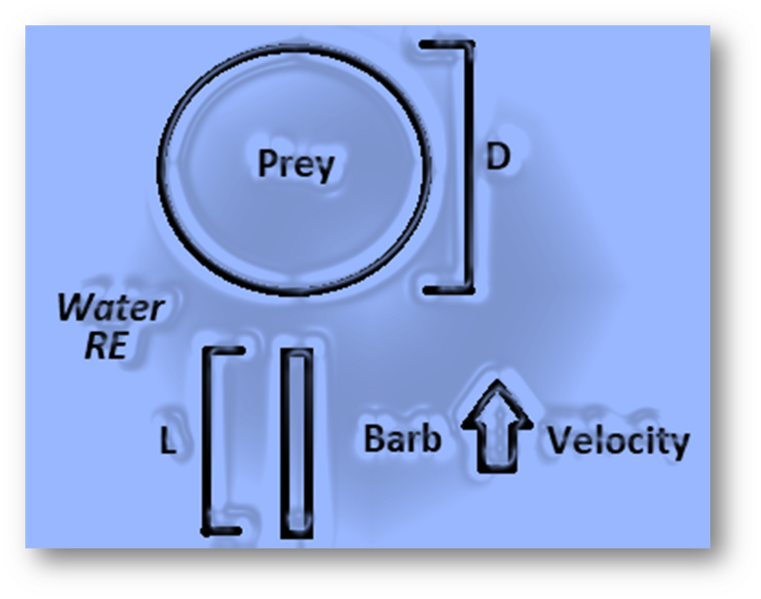 File:Model Overview.png