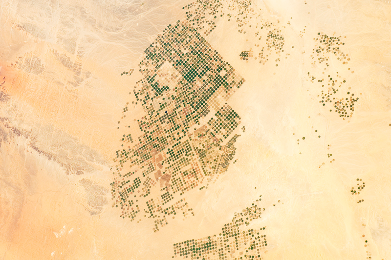 File:Saudi Arabian agricultural fields.png