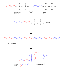 Chemical-diagram flow chart