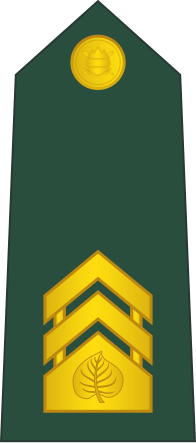 File:06-Slovenian Army-SFC.svg