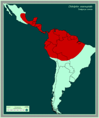 Mapa de distribución de Didelphis marsupialis