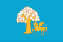 Flag of Kiginsky rayon.svg