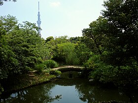 Сад Мукодзима-Хяккаэн и Tokyo Skytree на заднем плане