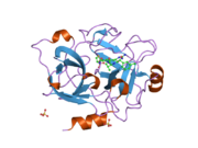 1zpc: Crystal Structure of the Catalytic Domain of Coagulation Factor XI in Complex with 2-[2-(3-Chloro-phenyl)-2-hydroxy-acetylamino]-N-[4-guanidino-1-(thiazole-2-carbonyl)-butyl]-3-methyl-butyramide