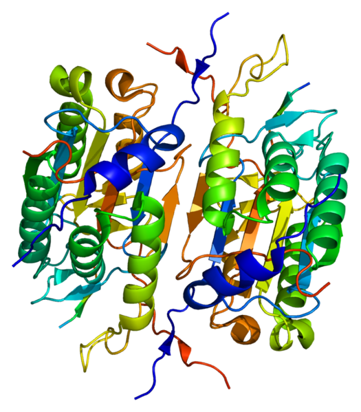 File:Protein CASP2 PDB 1pyo.png