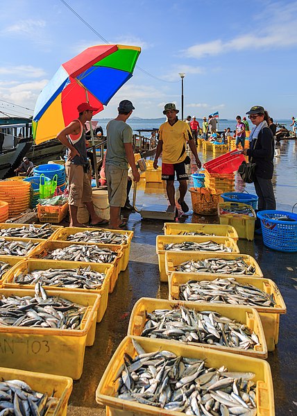 File:Sandakan Sabah Fishmarket-in-Sandakan-Harbour-03.jpg