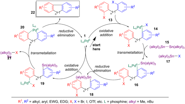 Catalytic cycle of the Stille-Kelly reaction