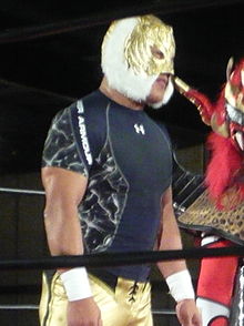 Tiger Mask IV.jpg