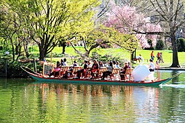 Swan Boats in Public Garden