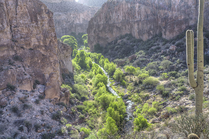 File:Aravaipa Canyon Wilderness (15224785109).jpg