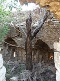 Overgrown ruins of the Southeastern-most tower