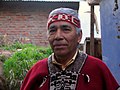 Image 10A Mapuche man in present-day Chile (from Indigenous peoples of the Americas)