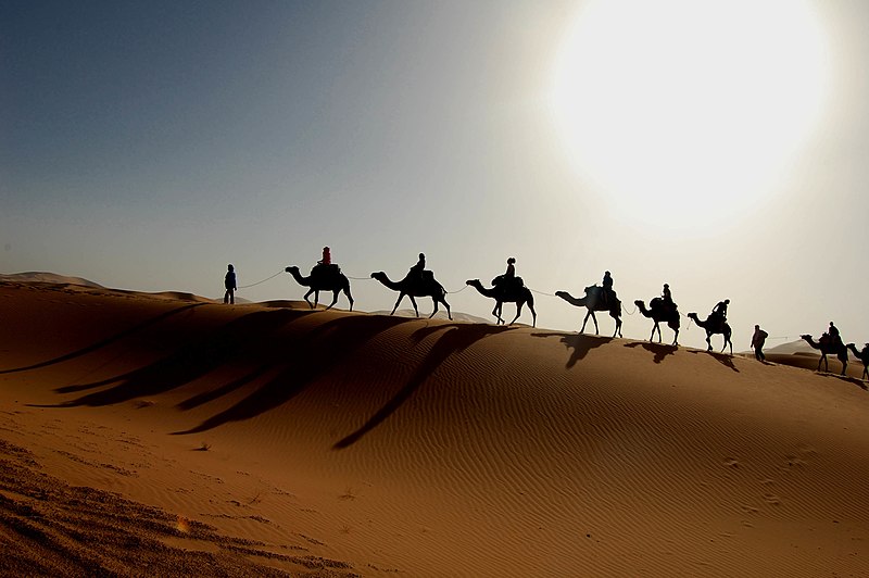 Файл:Maroc Sahara caravane.jpg