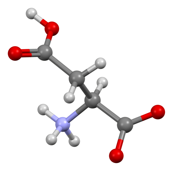 File:Aspartic-acid-from-xtal-view-2-3D-bs-17.png