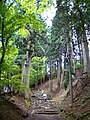 The way to the top of Mount Atago