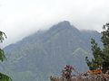 Mountain view from the botanical garden