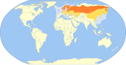 Distribución de Larus canus. Morado= residente permanente. Naranja= áreas de nidificación. Azul= zonas de invernada.