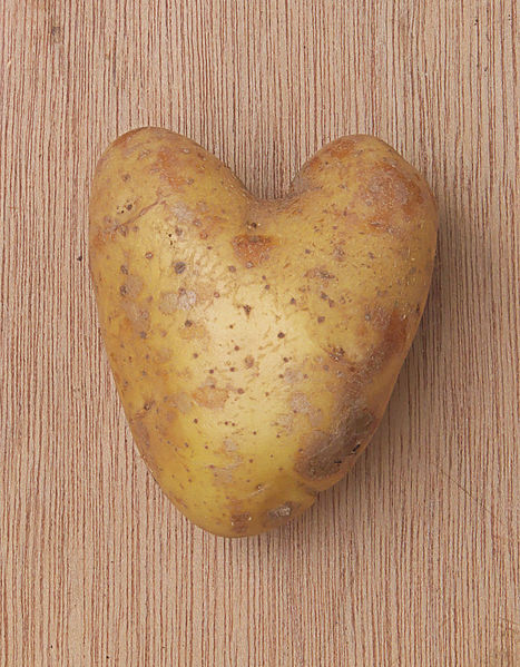 File:Solanum tuberosum 'Nicola', aardappel.jpg