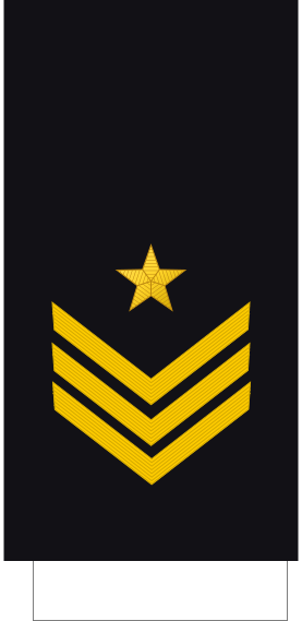 File:Yugoslavia-Navy-OR-7a-Sleeve (1951–2006).svg