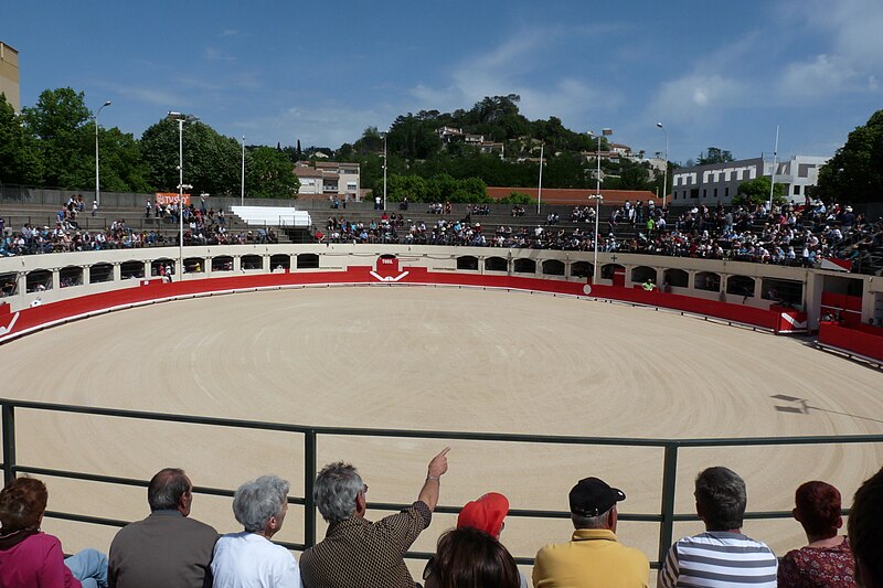 File:Arènes d'Alès.JPG