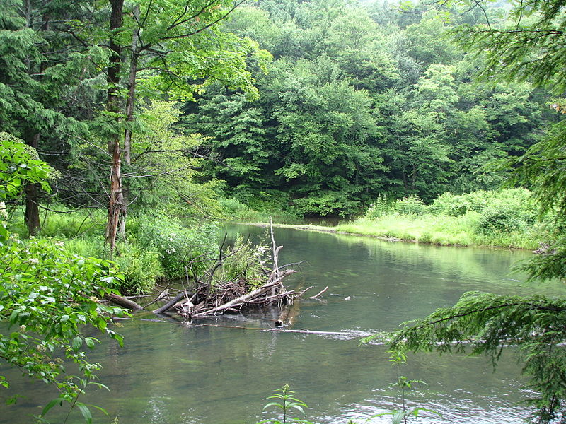 File:Bendigo State Park.jpg