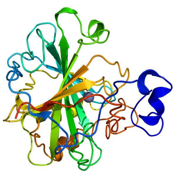 File:Carbonic anhydrase 1CA2.png