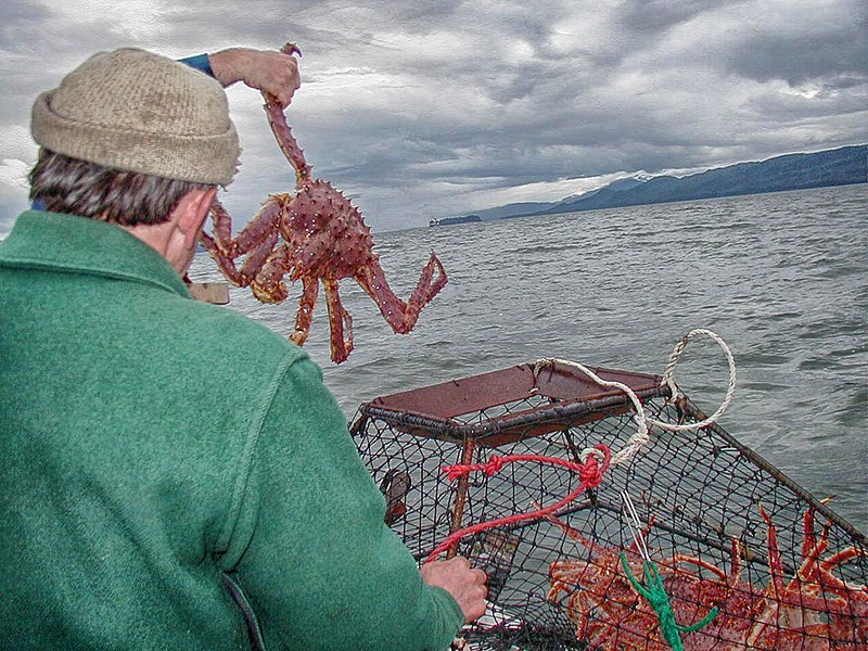 File:Catch of King Crab.jpg