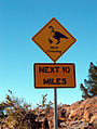 A sign in Hawai‘i warning of crossing Nēnē.