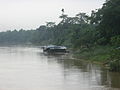 Raft-house on Sungei Pahang near Temerloh town.