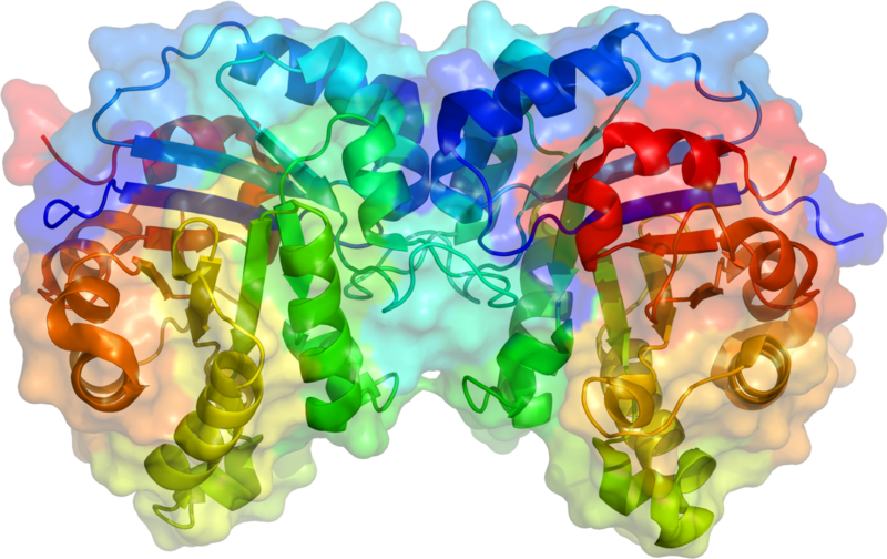 Archivo:TPI1 structure.png