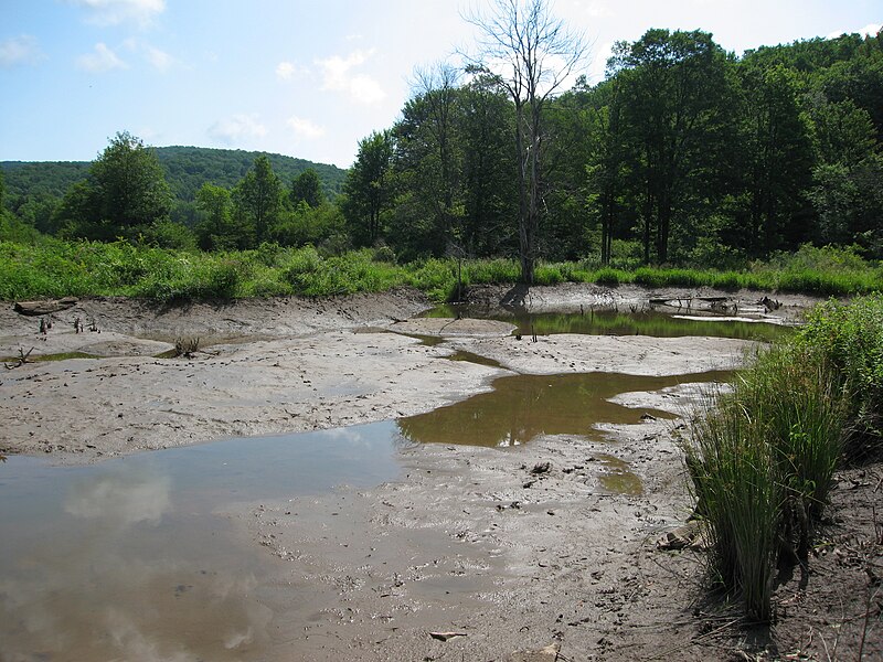 File:Broken Beaver Dam.jpg