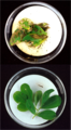 Image 32Bt-toxins in genetically modified peanut leaves (bottom) protect from damage by corn borers (top). (from History of agriculture)