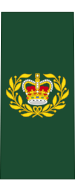 File:Canadian Army OR-8.svg