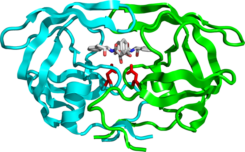 File:HIV protease 1EBY.png