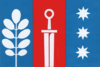 Flag of Mala Tokmachka