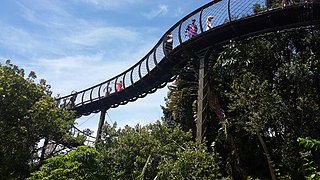 Boomslang, Tree canopy walkway, Arboretum