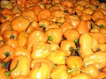 Habaneros.