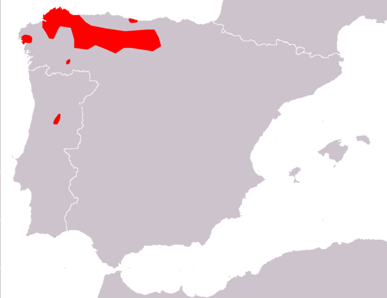 File:Iberolacerta monticola range Map.png