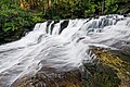 Liffey Cascade.