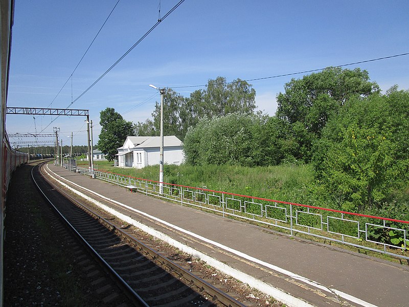 Файл:Nepetsino Station.jpg