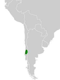 Distribución geográfica del huet-huet gorgicastaño.