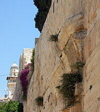 a color photograph looking up at a tall stone and wall showing a few rows of curved voussoir blocks protruding midway up the side