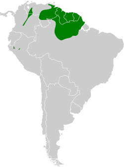 Distribución geográfica del batará pizarroso punteado.