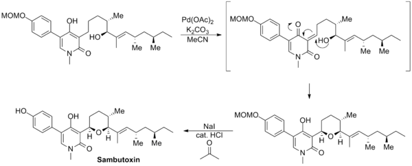 Williams sambutoxin synthesis