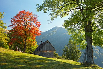 Landscape in Khust Raion