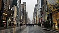 Ginza in the rain